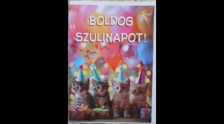 Boldog Születésnapot Képeslap - Cicás