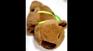 Csuklóra tehető Capybara / Kapibara plüss - teknősbéka hátitáskával