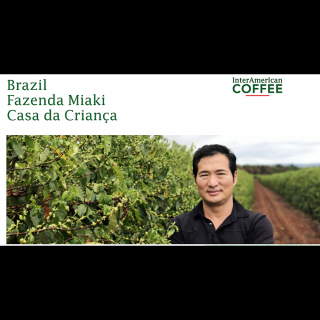 Brazil Fazenda Miaki Yellow Bourbon Pörkölt kávé 500g-KS-08.29