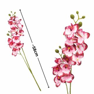 2 ágú orchidea rózsaszín-bordó