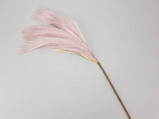 Pampafű ág - rózsaszín