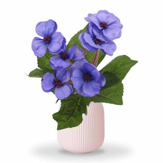 Primula 30cm lila - KIFUTÓ