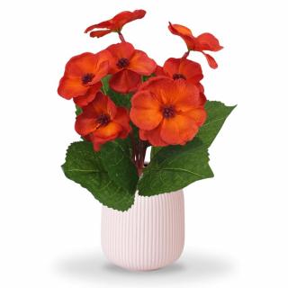 Primula 30cm narancs - KIFUTÓ