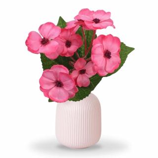 Primula 30cm rózsaszín - KIFUTÓ