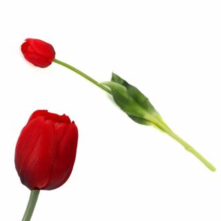 Szálas gumi tulipán piros