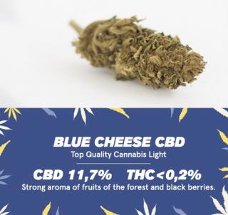 CBD Blue Cheese 2g CBWEED