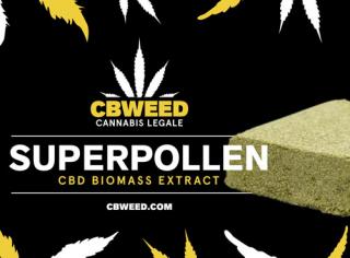 CBD Hašiš Superpollen 1g CBWEED