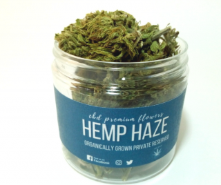 CBD Hemp Haze 7g virágok Hemp Yourself