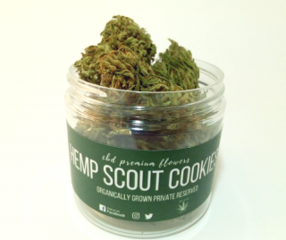 CBD Hemp Scout Cookie virágok 7g Hemp Yourself