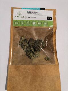 CBD kender virágok Curing Bud 1g SATIVA POLAND