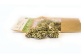 CBD kender viragok Lemon Haze 1g SATIVA POLAND