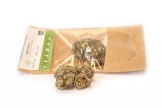 CBD kender virágok Medi Haze II 1g SATIVA POLAND