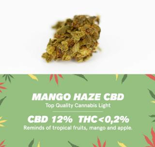 CBD Mango Haze 5g CBWEED