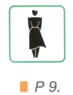 P9_Nöi WC