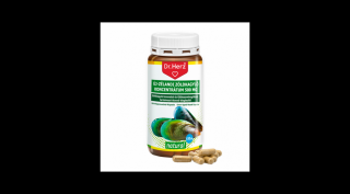 DR Herz Új-Zélandi Zöldkagyló koncentrátum 500mg 150db kapszula