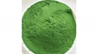 Chlorella italpor 100g