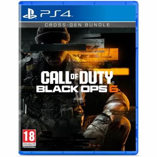 Call of Duty Black Ops 6 (PS4)