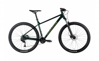 Norco Storm 3 29" férfi Mountain Bike green-sage M (162-177 cm)