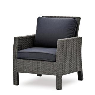 Colias  Fotel 269210-L