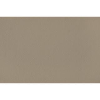 Merino Champignon