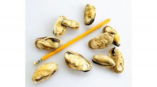 Zöldkagyló jutalomfalat, 50g, Lunderland