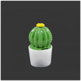 Kaktuszos persely  - 19 cm