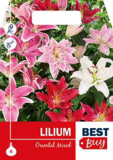 6db-os Lilium Oriental Megapack