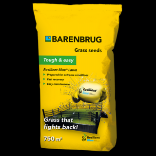 Barenbrug RESILIENT BLUE LAWN fűmagkeverék 15kg - Szárazságtűrő, ellenálló