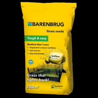 Barenbrug RESILIENT BLUE LAWN fűmagkeverék 5kg - Szárazságtűrő, ellenálló