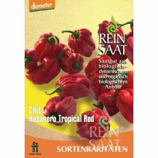 BIO Chili paprika Habanero Tropical Red - ReinSaat