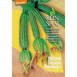 BIO Cukkini Costates Romanesco - ReinSaat