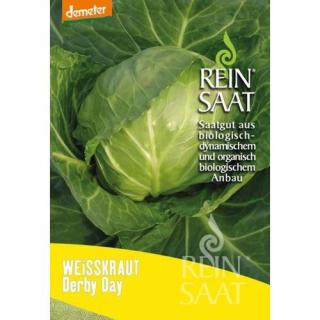 BIO Fejeskáposzta - ReinSaat - Derby Day