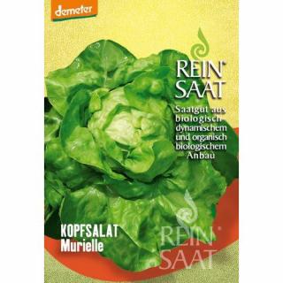 BIO Fejessaláta Murielle - ReinSaat