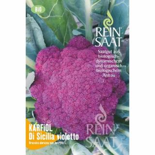 BIO Karfiol ibolyakék - ReinSaat