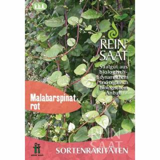 BIO Malabárspenót - ReinSaat