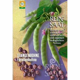 BIO Pisztrángbab - ReinSaat - STANGENBOHNE Forellenbohne