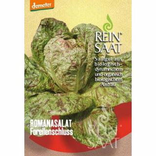BIO Római saláta - ReinSaat