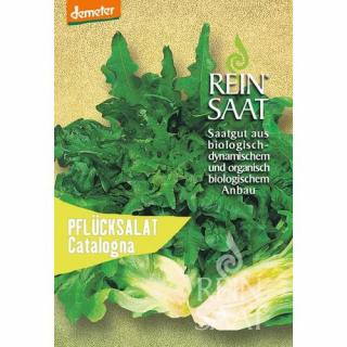 BIO Tépősaláta Catalogna - ReinSaat - EGÉSZ ÉVBEN TERMESZTHETŐ