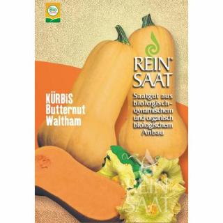 BIO Tök Butternut Waltham - ReinSaat