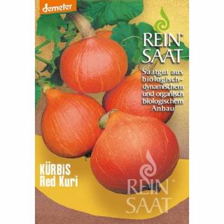 BIO Tök Hokkaido Red Kuri - Rein Saat