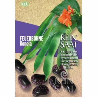 BIO Tűzbab - ReinSaat - FEUERBOHNE Bonela