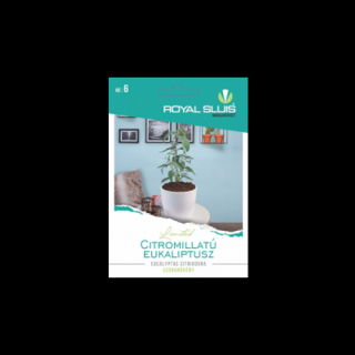 Citromillatú eukaliptusz - RoyalSluis - Eucalyptus citriodora