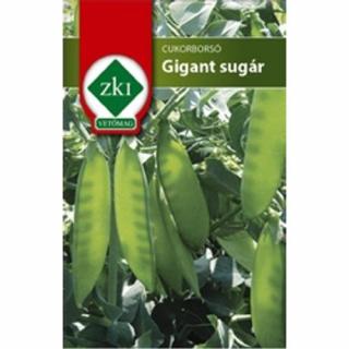 Cukorborsó Giant Sugar - ZSENGE - ZKI