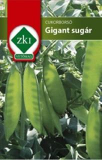 Cukorborsó Giant Sugar - ZSENGE