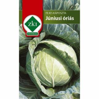 Fejes Káposzta Júniusi óriás - KORAI - ZKI