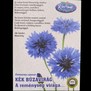 Kék Búzavirág - A reménység virága
