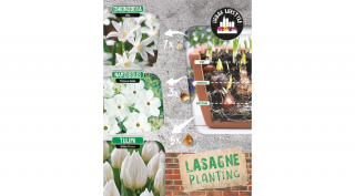 Lasagne Planting White