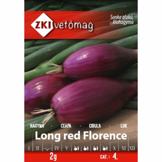 Lila Sonkahagyma - Long red Florence - ZKI