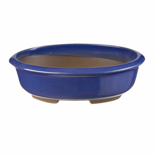 Mázas Bonsai tál Palladio Blue Elettrico