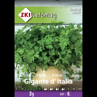 METÉLŐPETREZSELYEM Gigante d'Italia - ZKI